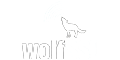 wolfSSL