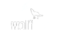 wolfSSL