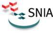 SNIA website