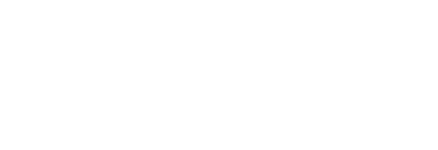 NextDLP