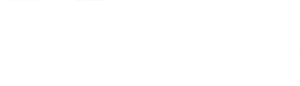 TrapX Security