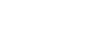 Fidelis Security