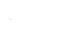 Phylum