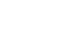 Root